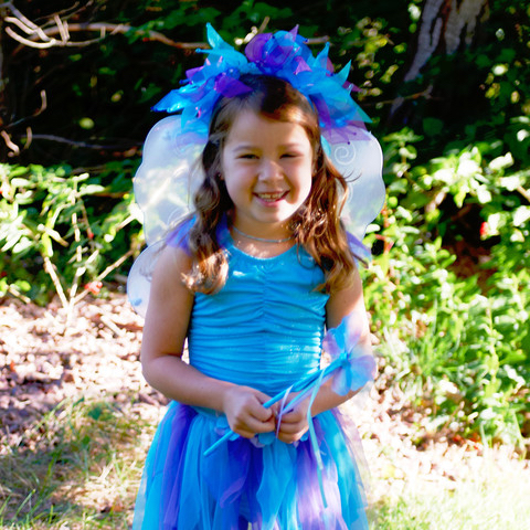 Girl's Fairy Dress Costume with Wings and Wand
