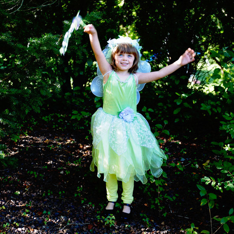 Girl's Fairy Princess Costume for Playtime